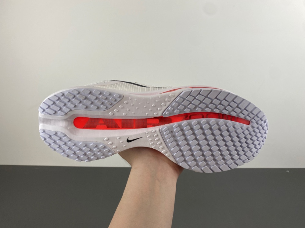 Nike Pegasus Premium Summit HQ2593-101