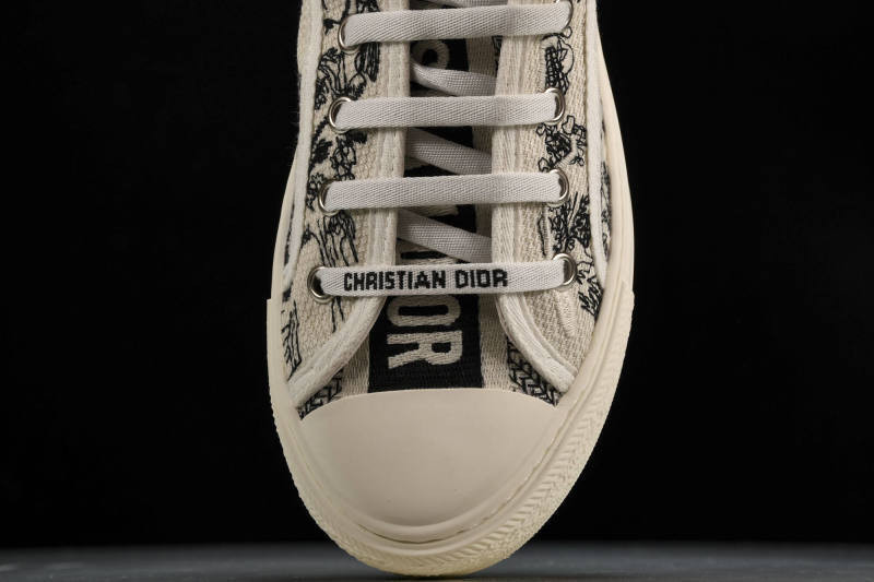 D1R* Walk