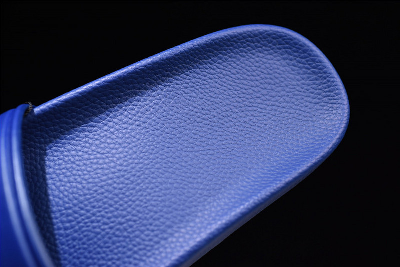 BLCG Slide