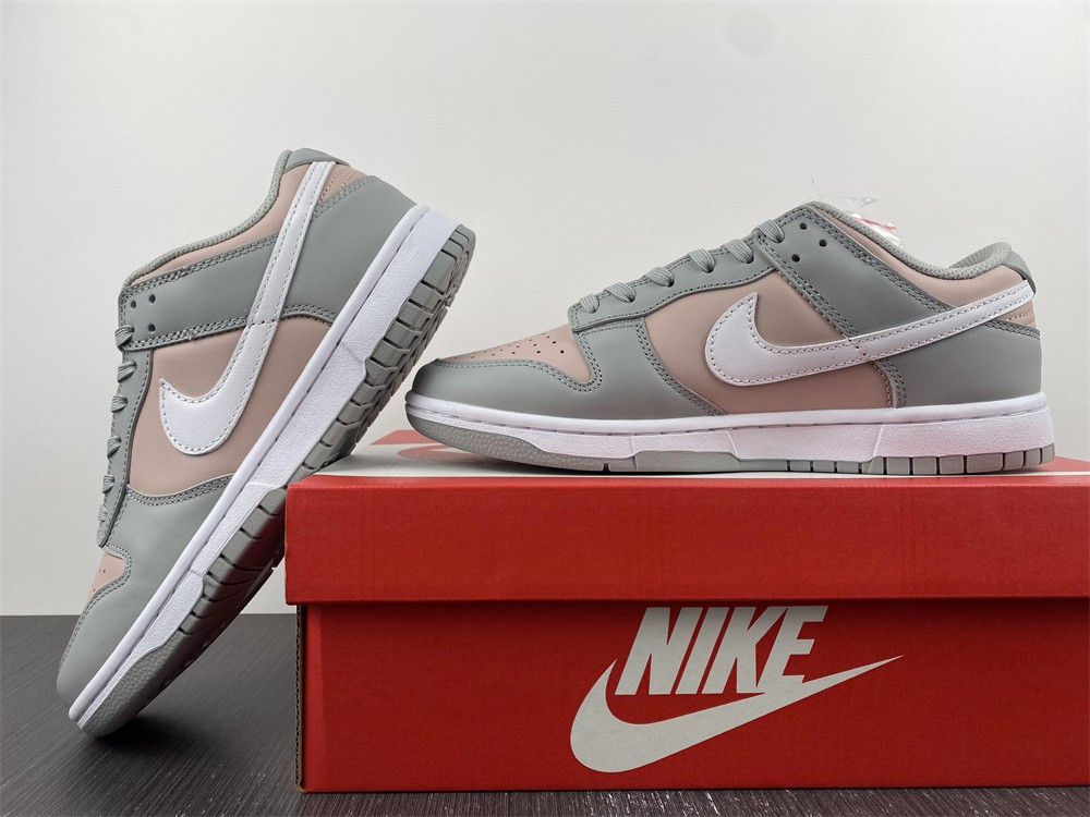 Nike Dunk Low DM8329-600