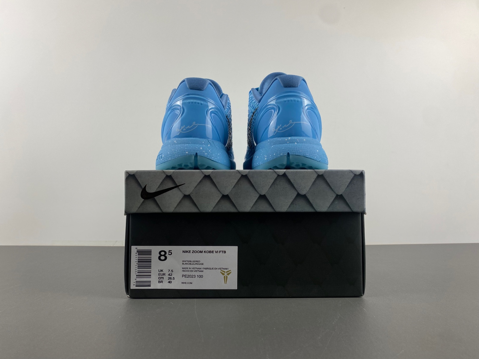 Nike Kobe 6 PE2023-100