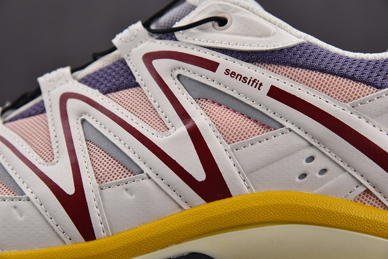 Salomon XT-6 412553
