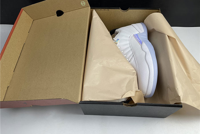 Air Jordan 12 DB0733-190