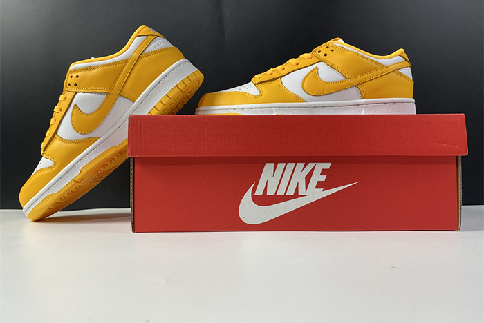 NIKE DUNK LOW  DD1503-800