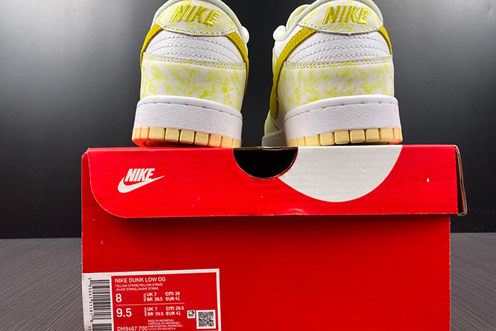 Nike Dunk low  DM9467-700