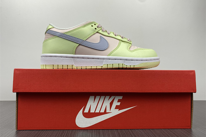 Nike Dunk Low   DD1503-600