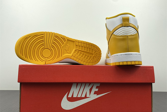 Nike Dunk High DD1869-106