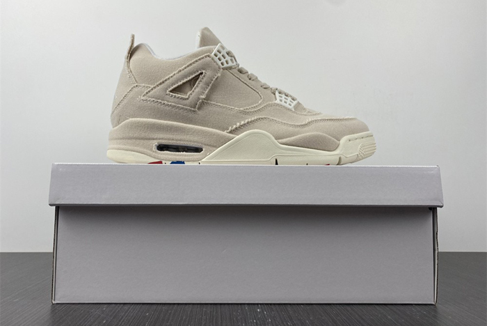Air Jordan4 WMNS