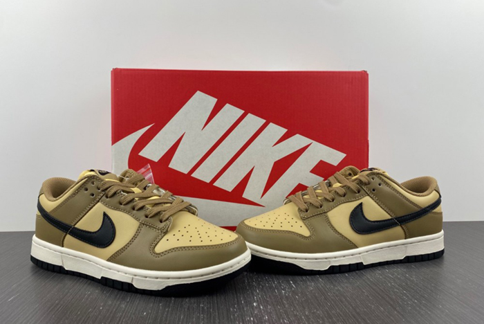Dunk Low "Dark Driftwood"  DD1503-200