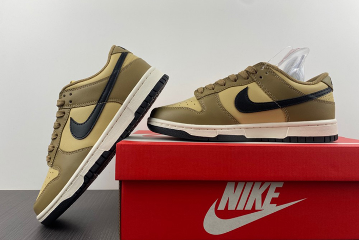 Dunk Low "Dark Driftwood"  DD1503-200