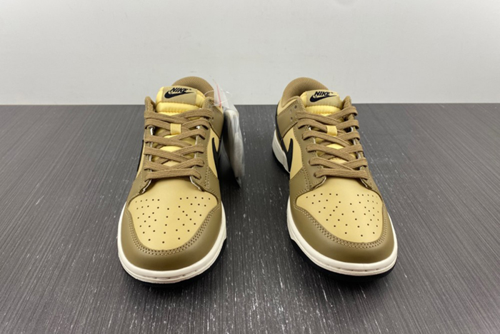 Dunk Low "Dark Driftwood"  DD1503-200