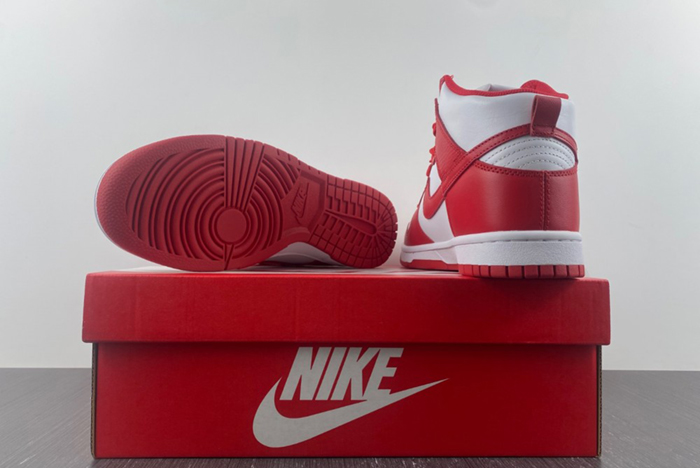 NIKE DUNK HIGH 