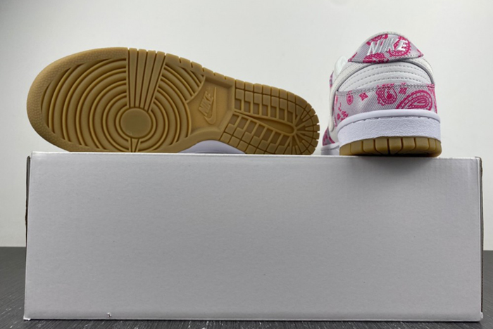Nike SB Dunk Low Retro SP “ CT5053-061