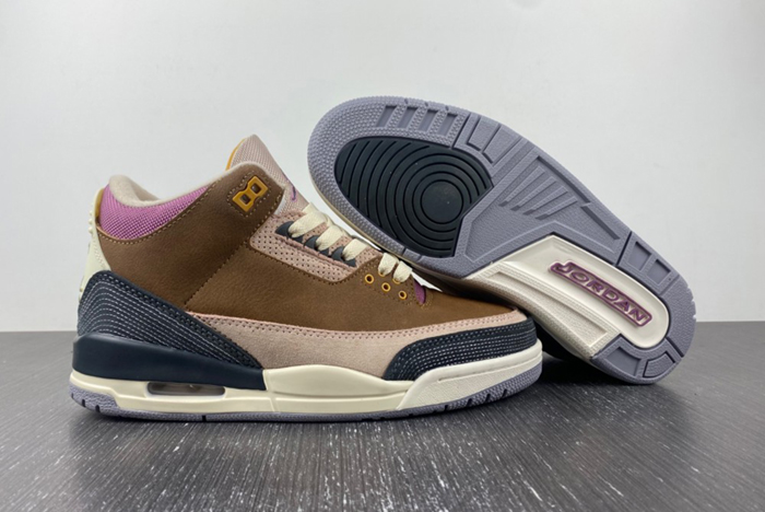 Air Jordan 3 Retro SE AJ3 DR8869-200