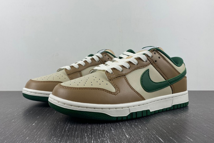 Nike Dunk Low Retro  FB7160-231