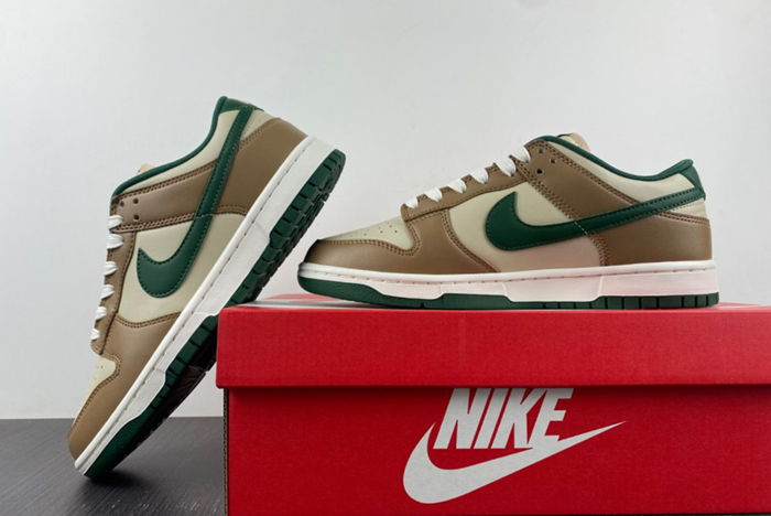 Nike Dunk Low Retro  FB7160-231