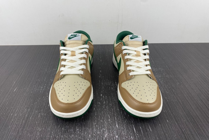 Nike Dunk Low Retro  FB7160-231