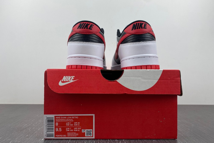 Nike Dunk Low FD9762-061