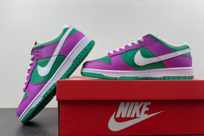 NIKE Dunk Low 2023 FD9924-311