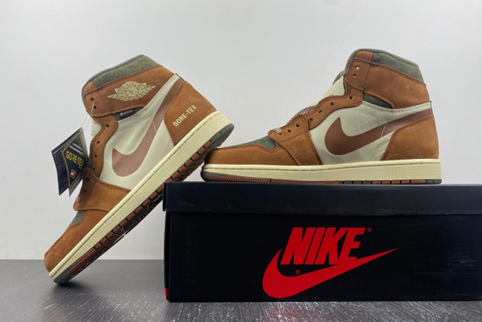 AJ1 Gore-Tex Jordan 1 High DB2889-100
