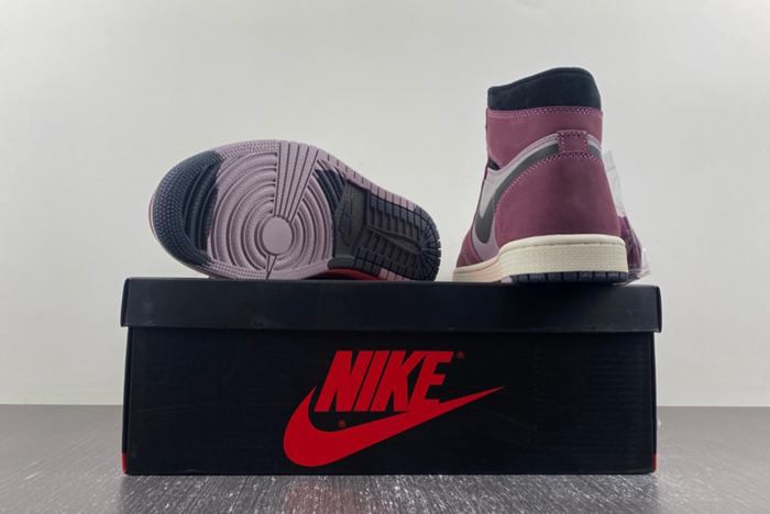 AIR JORDAN 1 HIGH ELEMENT GORE-TEX 