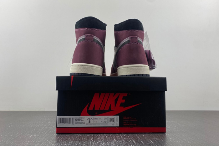 AIR JORDAN 1 HIGH ELEMENT GORE-TEX 